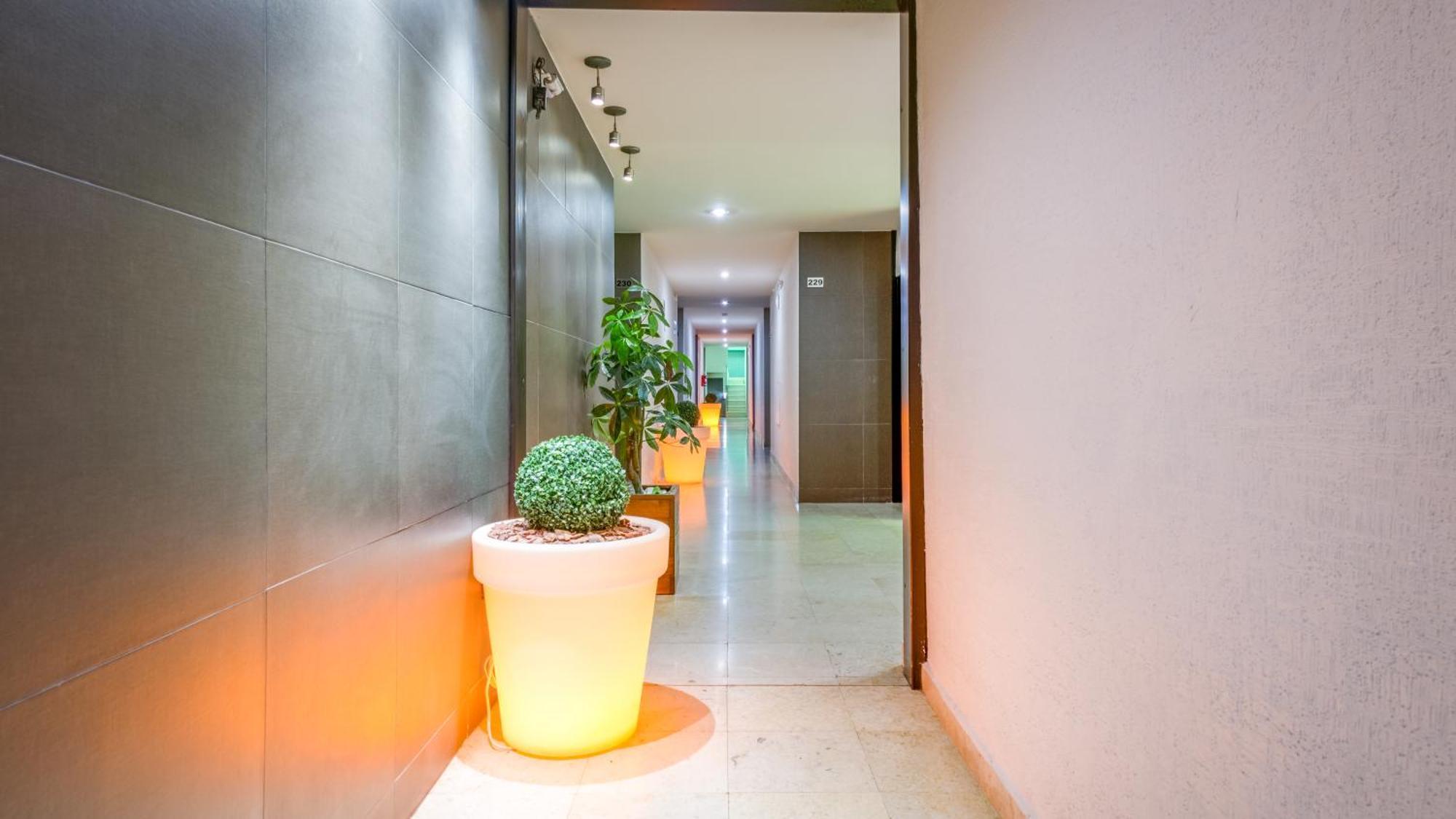 Homesuites Rotarismo Culiacán Eksteriør bilde